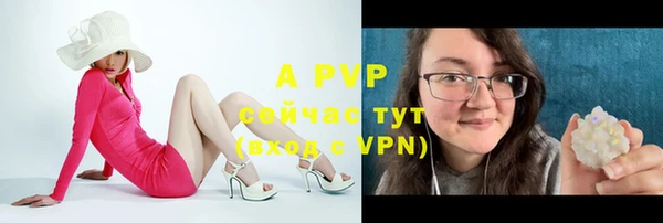 спиды Ростов