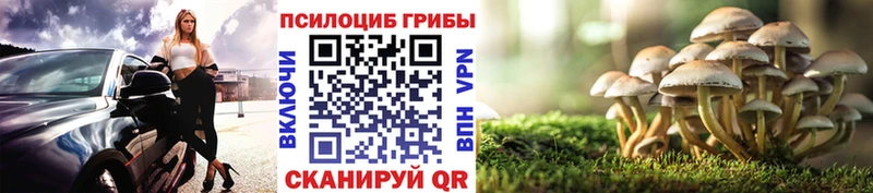 Псилоцибиновые грибы прущие грибы  Купить где  Рыбное 